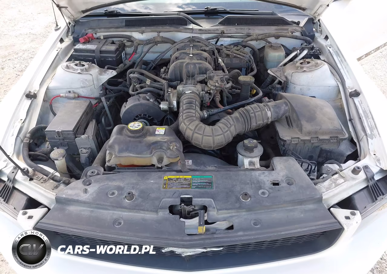 2005 Ford Mustang V6 Deluxe-V6 Premium VIN:1ZVFT80N355109782 - 10