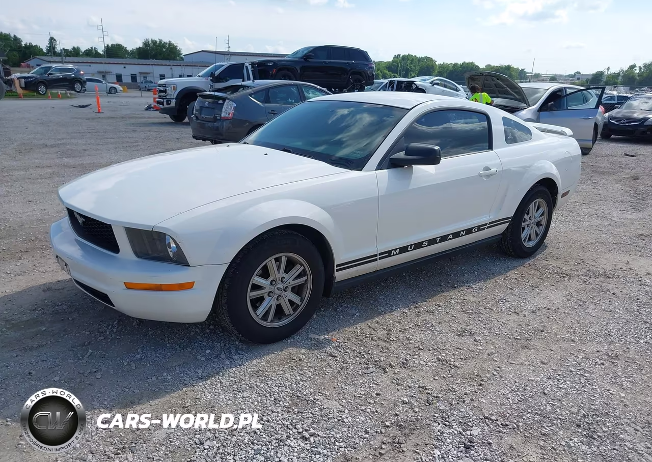 2005 Ford Mustang V6 Deluxe-V6 Premium VIN:1ZVFT80N355109782 - 2