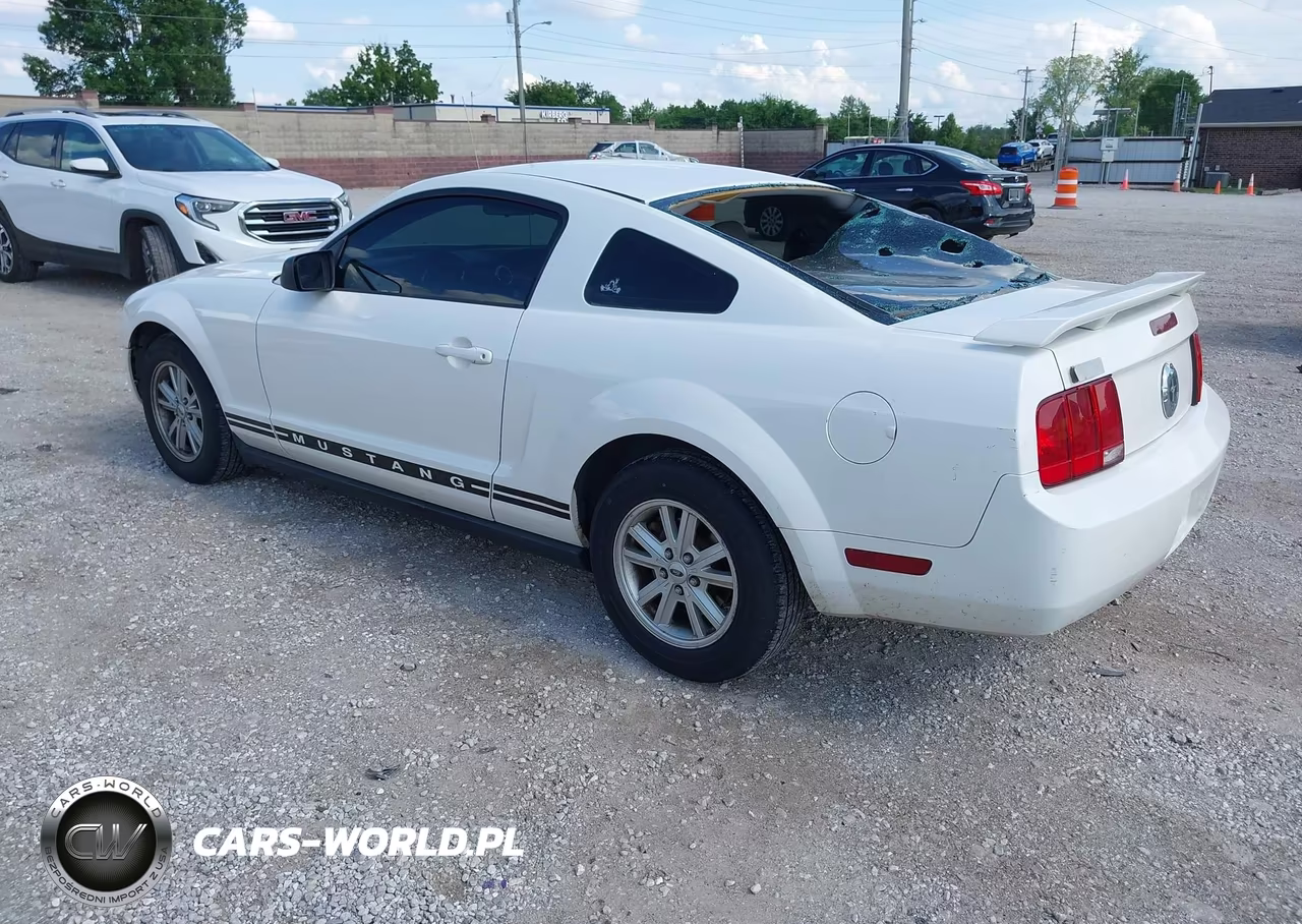 2005 Ford Mustang V6 Deluxe-V6 Premium VIN:1ZVFT80N355109782 - 3