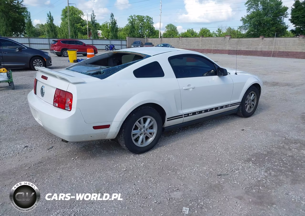 2005 Ford Mustang V6 Deluxe-V6 Premium VIN:1ZVFT80N355109782 - 4