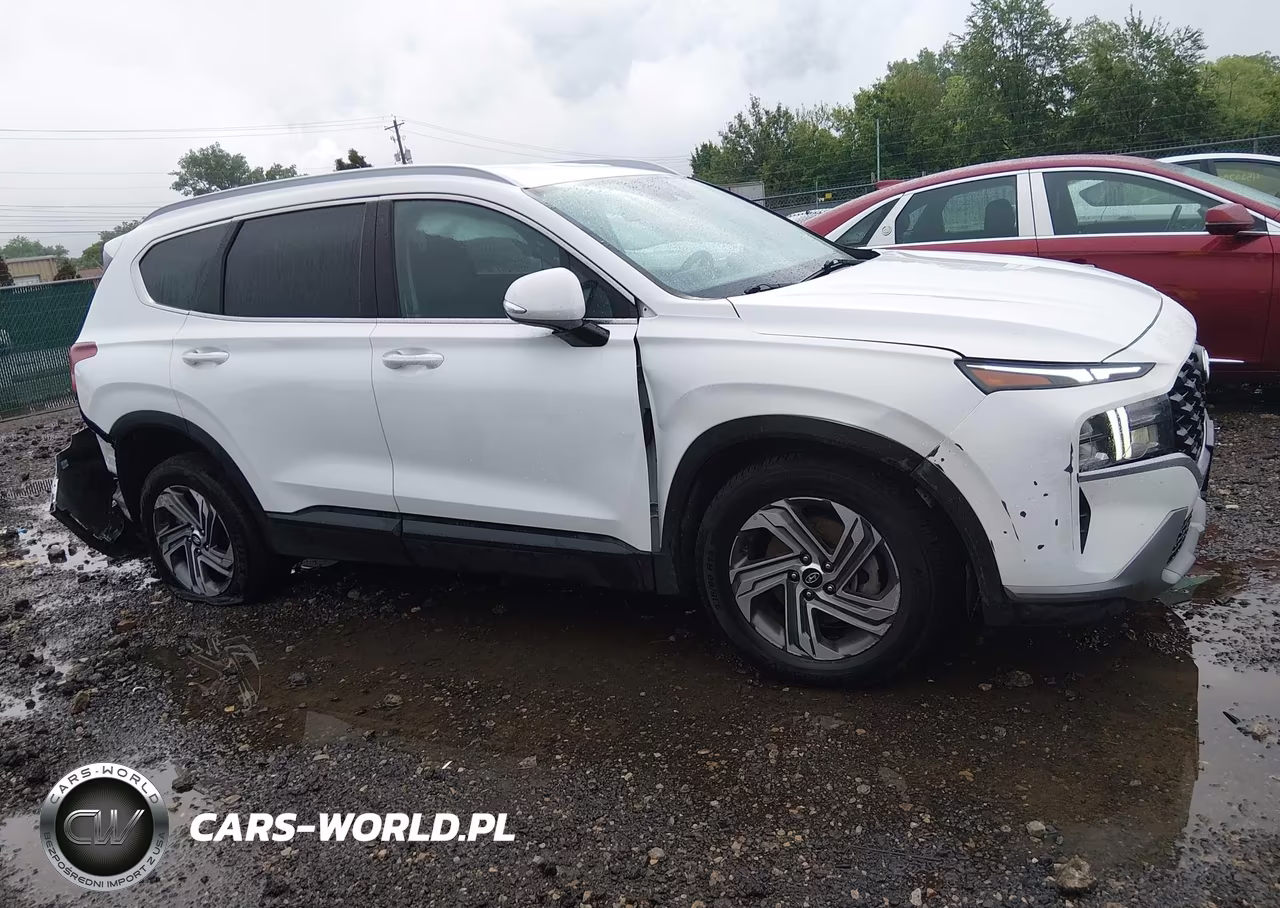 2023 Hyundai Santa Fe Sel VIN:5NMS24AJ8PH546668 - 14