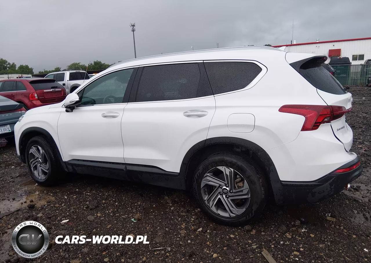 2023 Hyundai Santa Fe Sel VIN:5NMS24AJ8PH546668 - 15