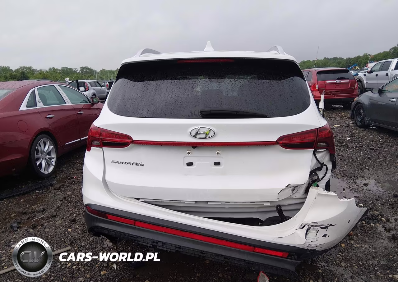 2023 Hyundai Santa Fe Sel VIN:5NMS24AJ8PH546668 - 17