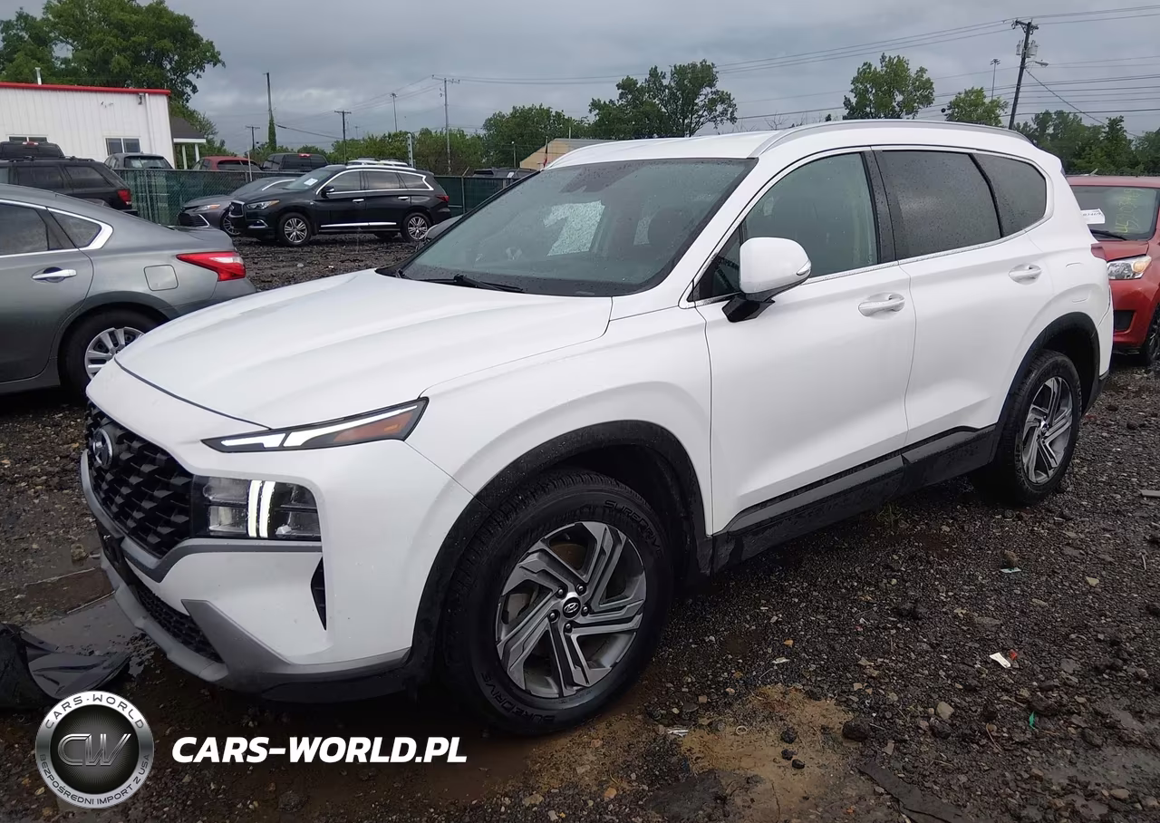 2023 Hyundai Santa Fe Sel VIN:5NMS24AJ8PH546668 - 2