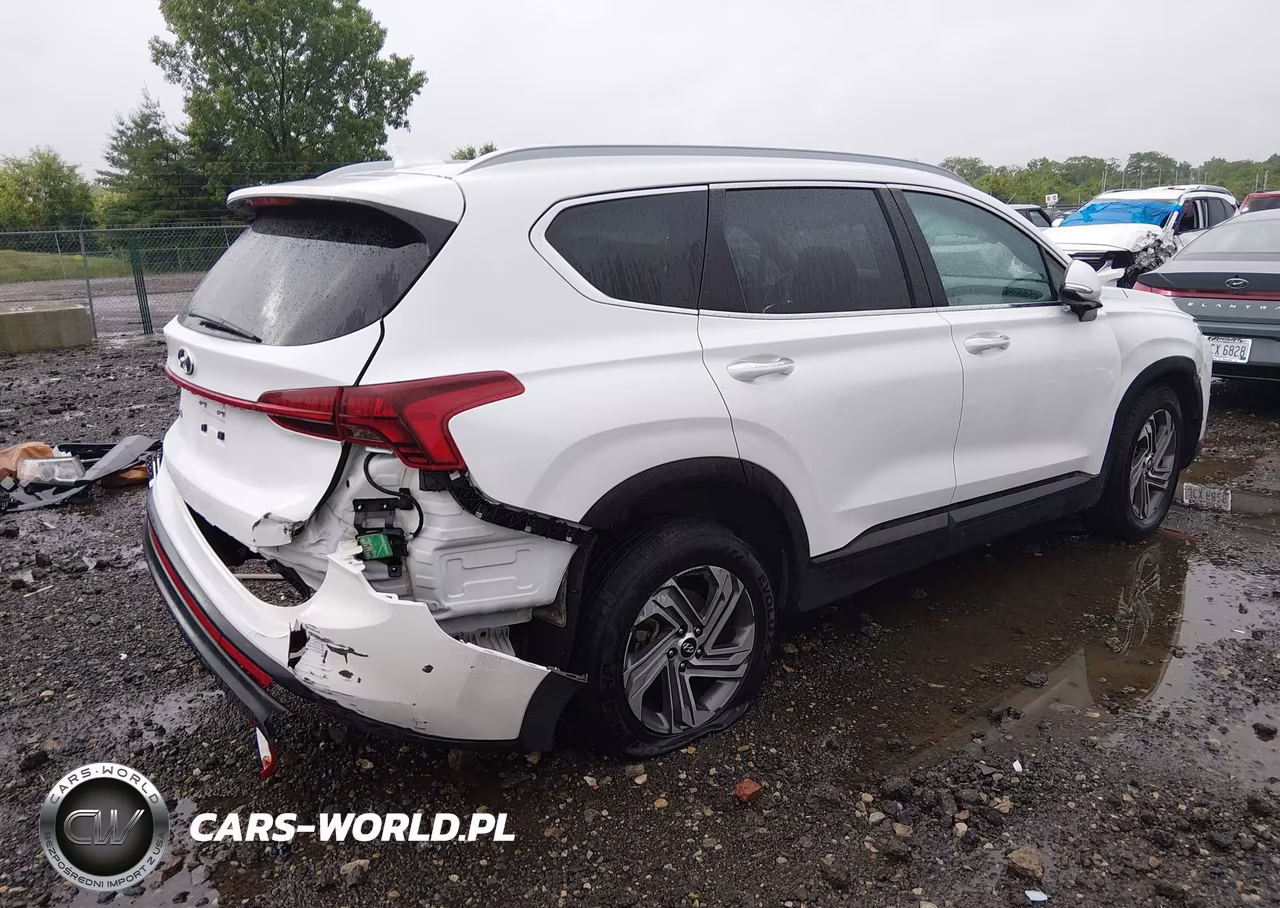 2023 Hyundai Santa Fe Sel VIN:5NMS24AJ8PH546668 - 4