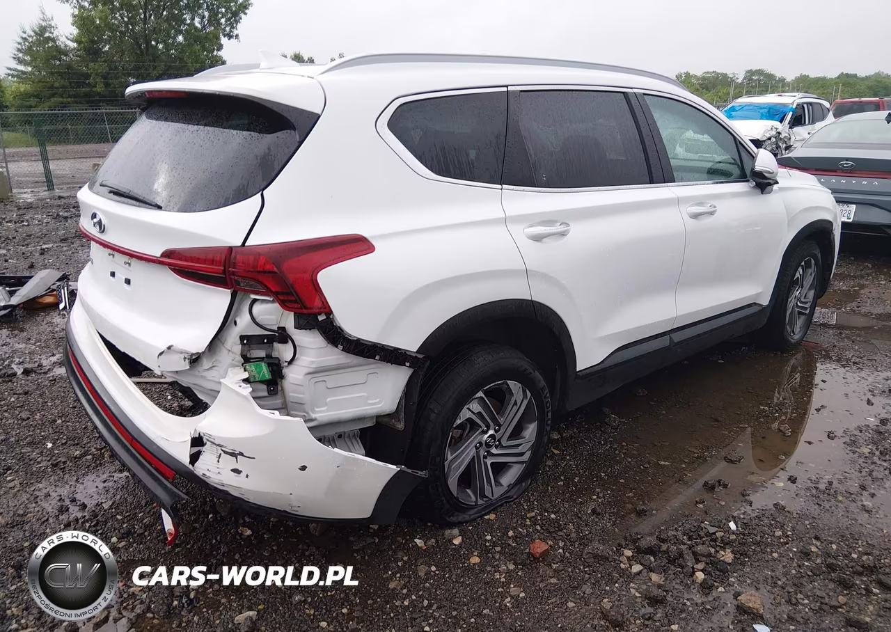 2023 Hyundai Santa Fe Sel VIN:5NMS24AJ8PH546668 - 6
