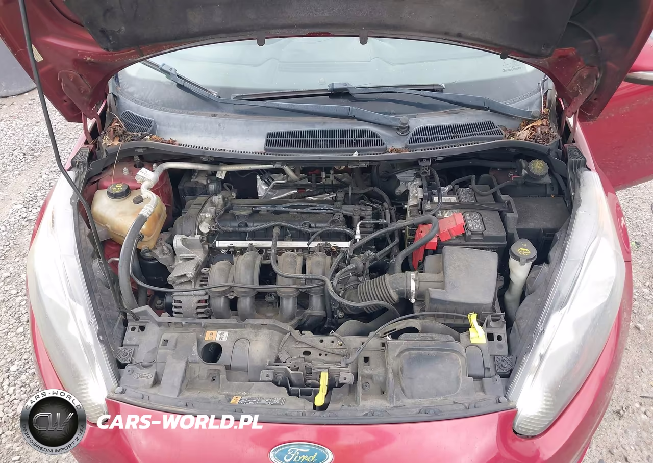 2014 Ford Fiesta Se VIN:3FADP4EJ2EM219557 - 10