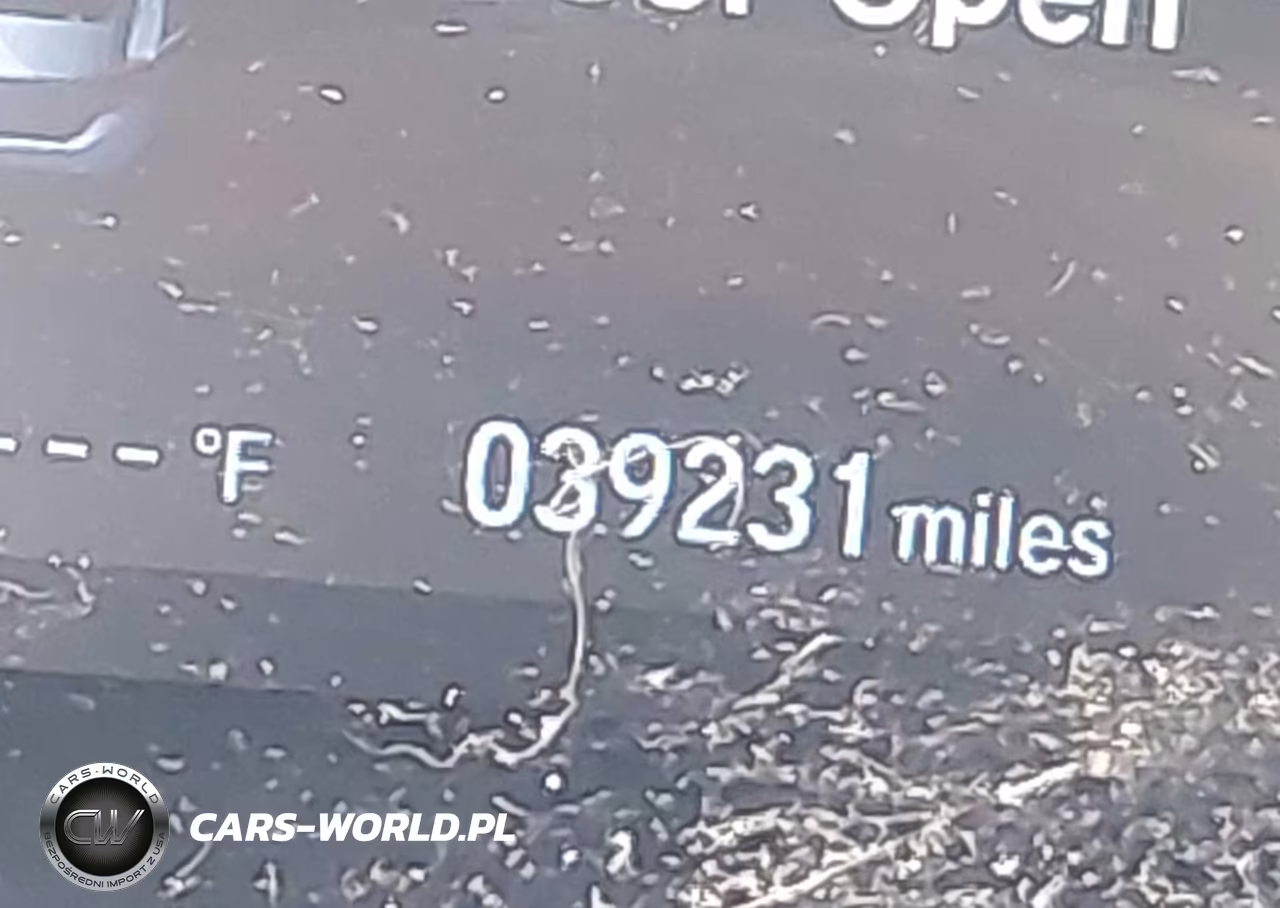 2019 Honda Civic Sport VIN:2HGFC2F89KH541123 - 16