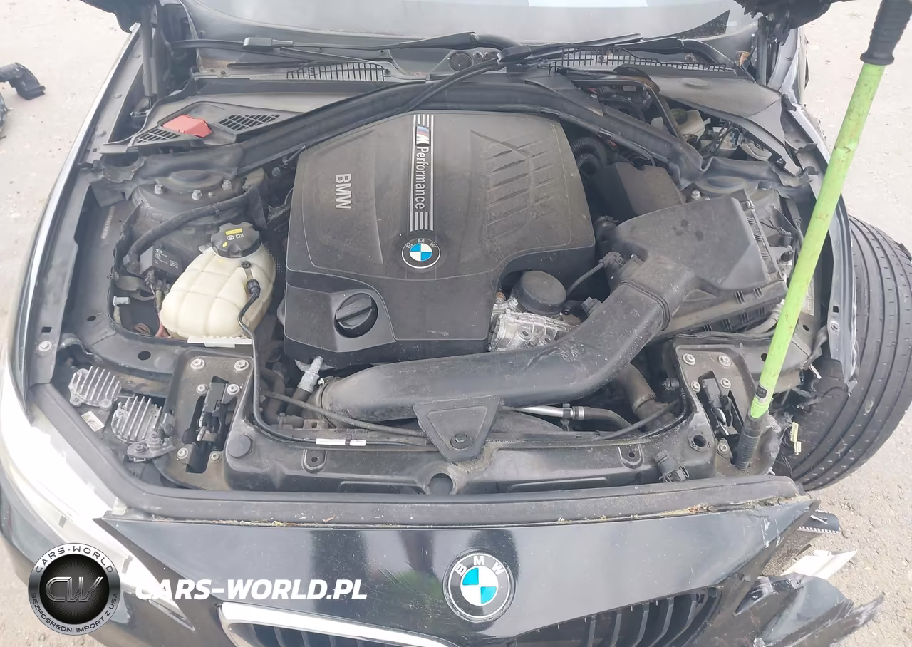 2016 BMW M235I VIN:WBA1J7C56GV359509 - 10