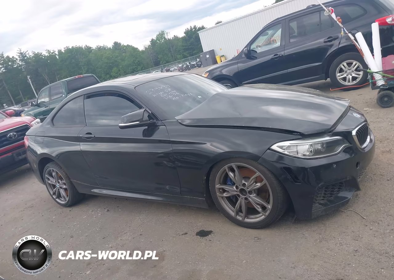 2016 BMW M235I VIN:WBA1J7C56GV359509 - 13