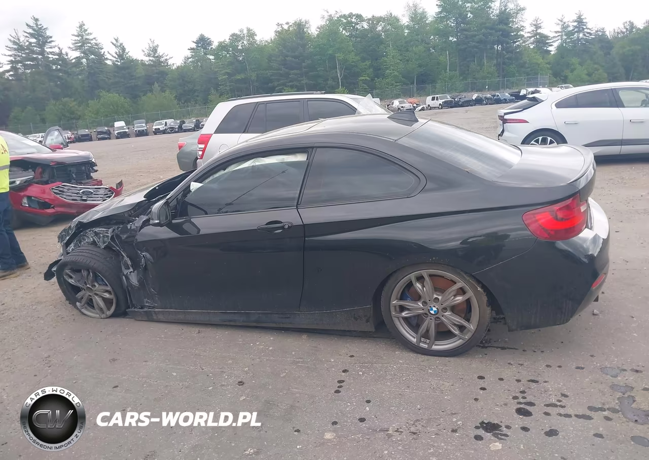 2016 BMW M235I VIN:WBA1J7C56GV359509 - 14