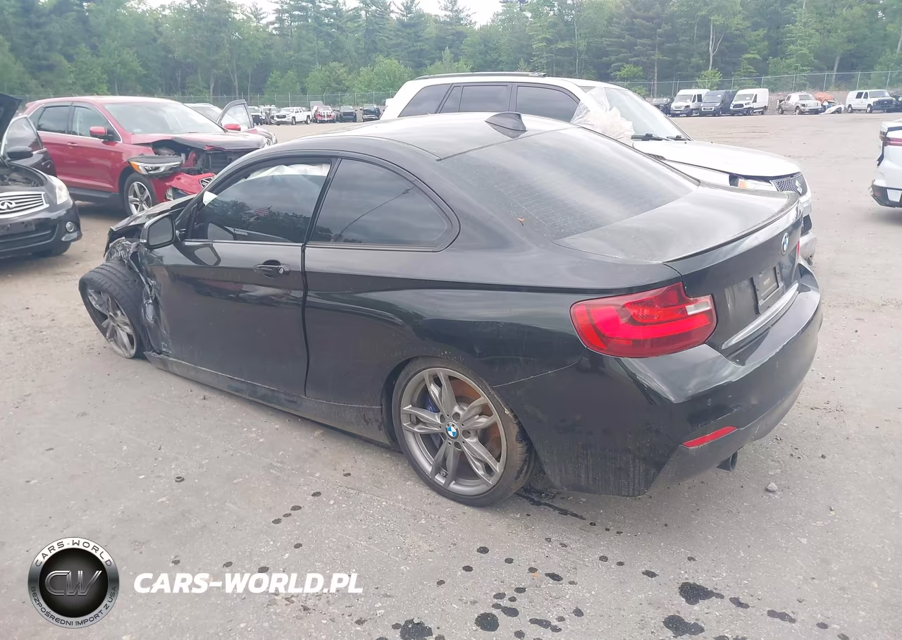 2016 BMW M235I VIN:WBA1J7C56GV359509 - 3