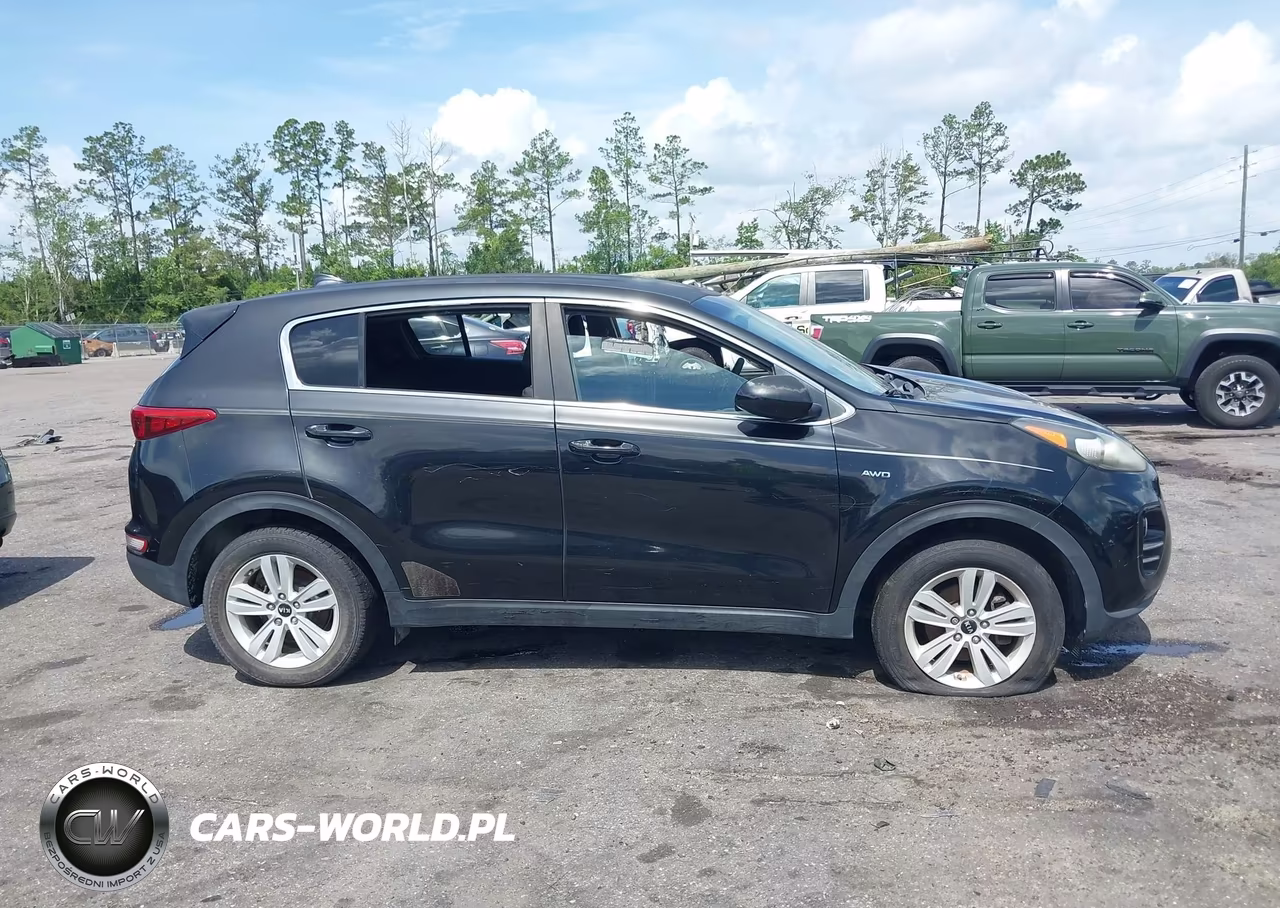 2017 Kia Sportage Lx VIN:KNDPMCAC1H7118591 - 13