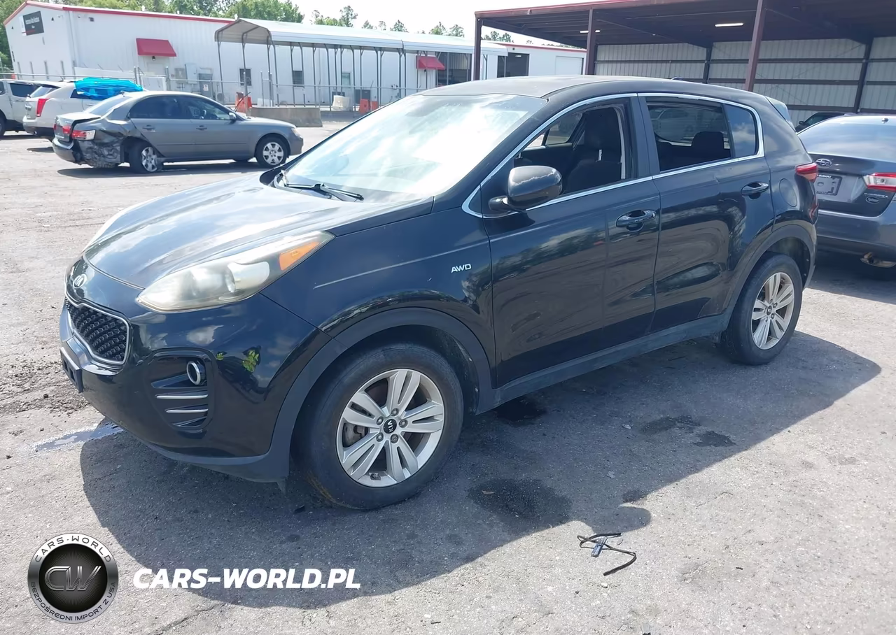 2017 Kia Sportage Lx VIN:KNDPMCAC1H7118591 - 2