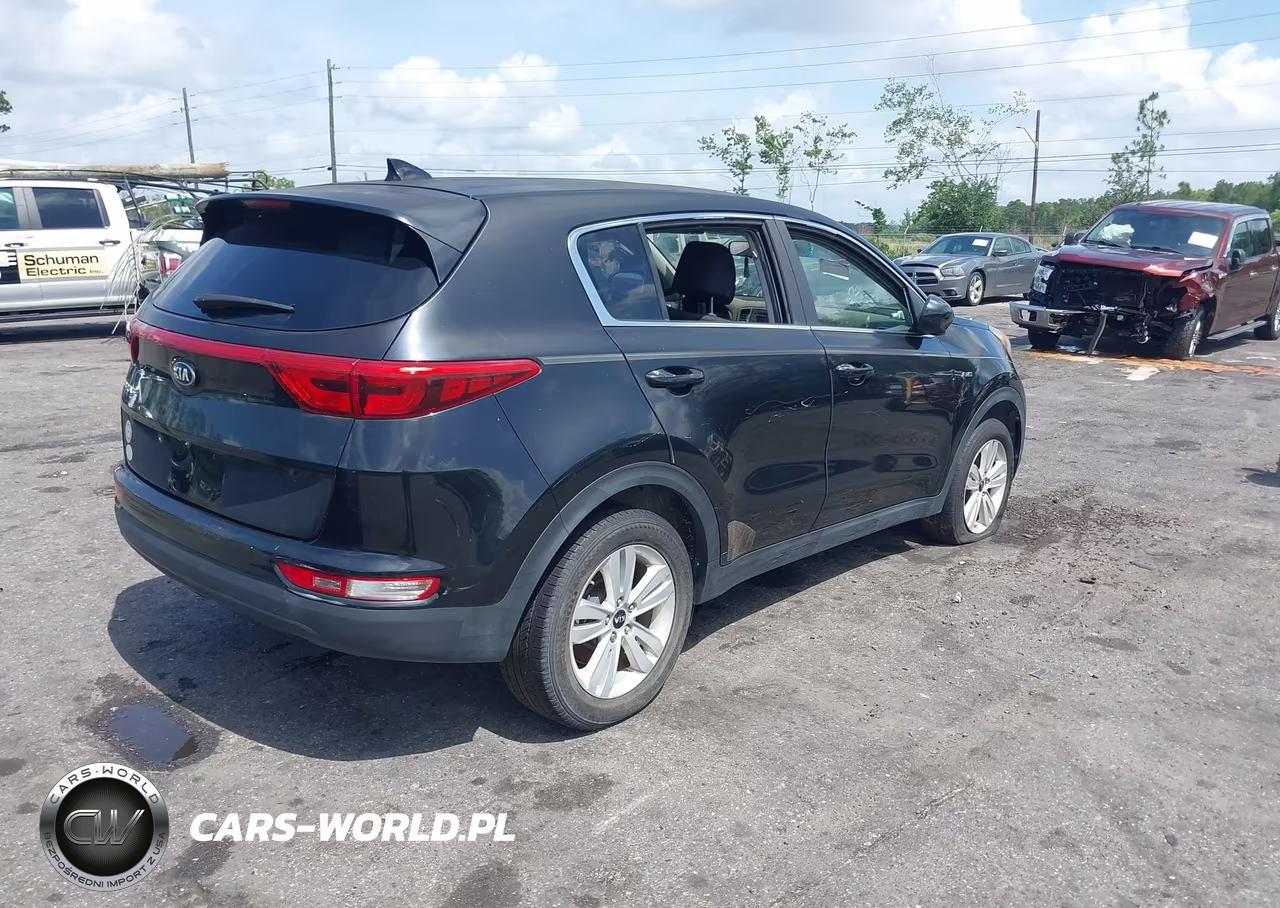 2017 Kia Sportage Lx VIN:KNDPMCAC1H7118591 - 4