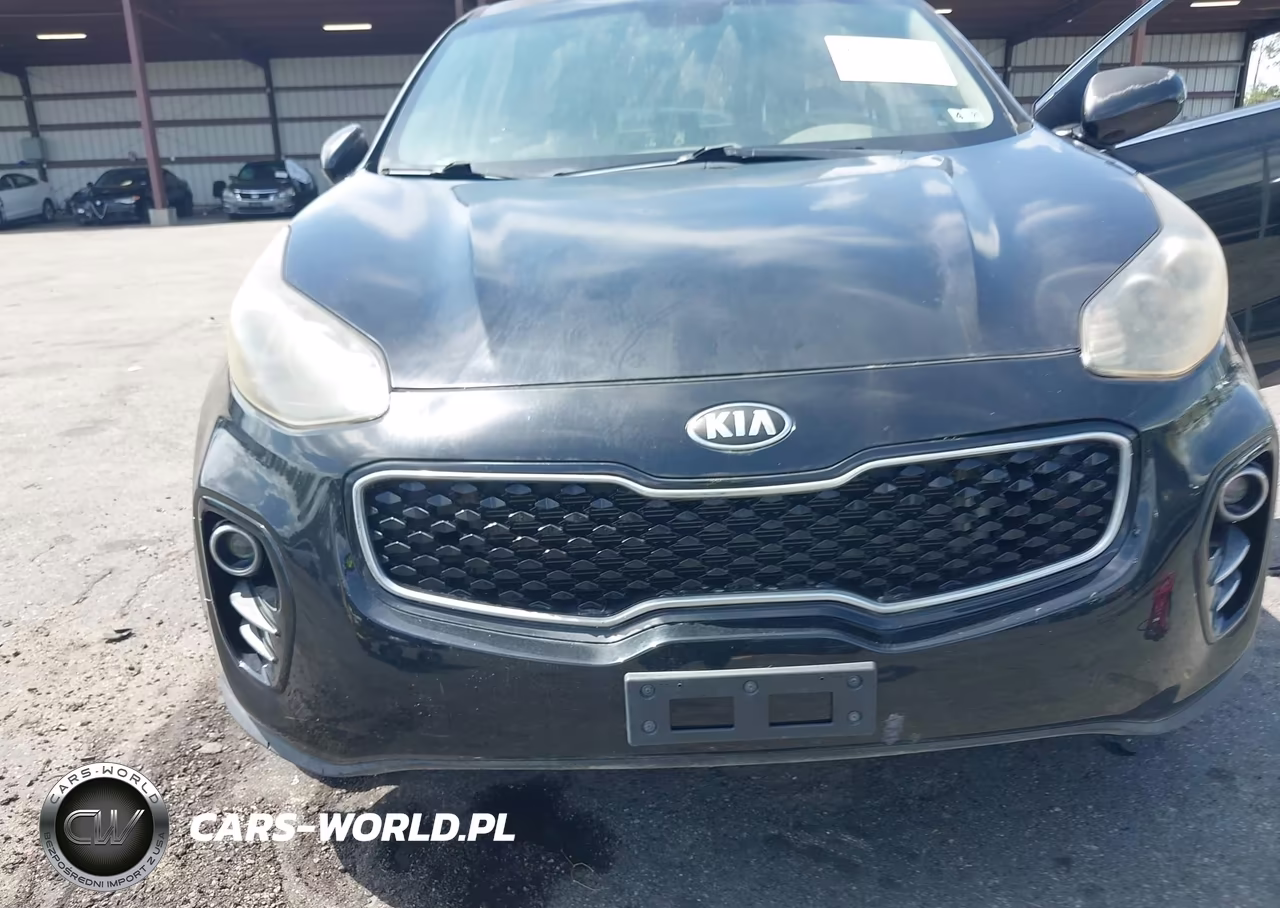 2017 Kia Sportage Lx VIN:KNDPMCAC1H7118591 - 6