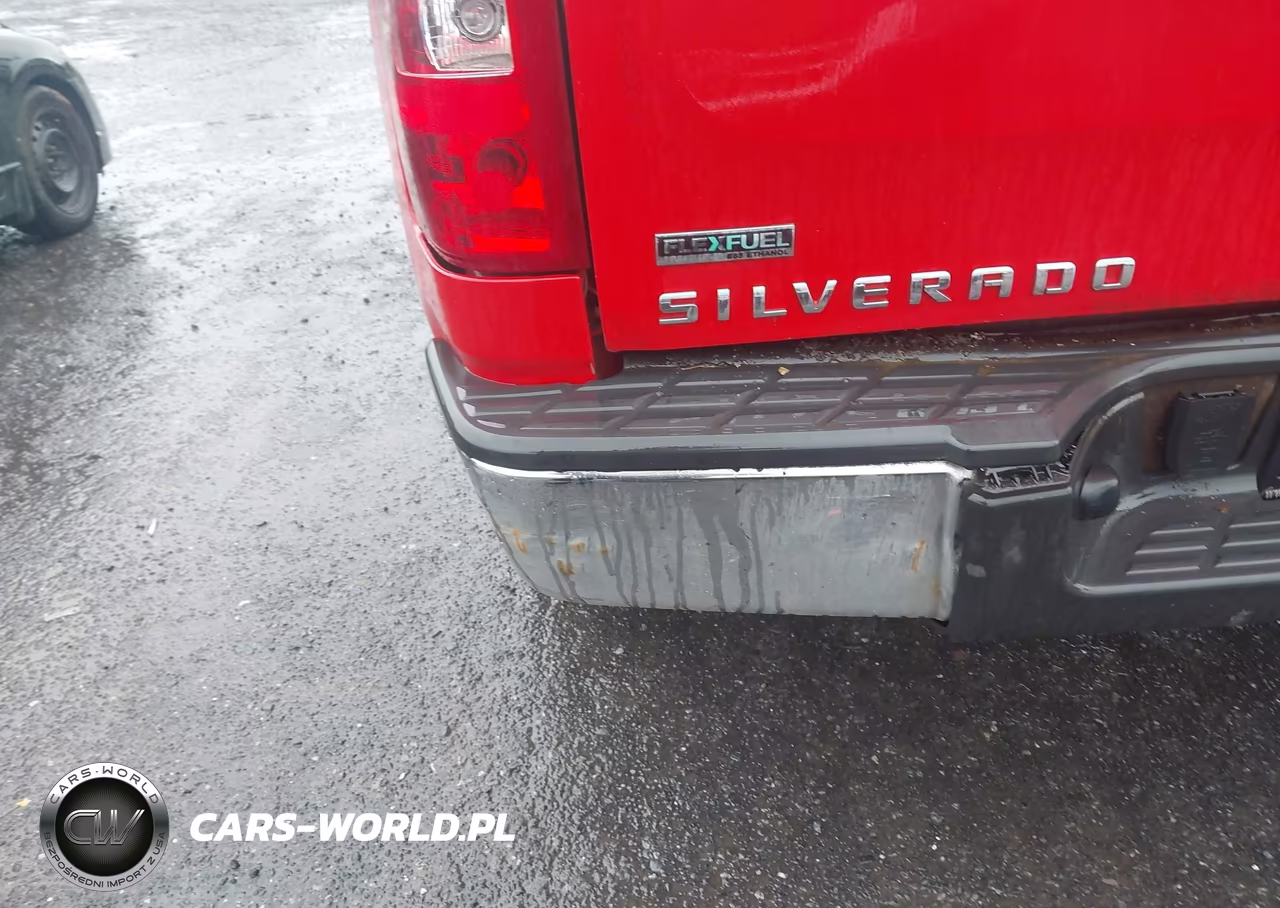 2010 Chevrolet Silverado 1500 Lt VIN:1GCSKSE33AZ203088 - 17