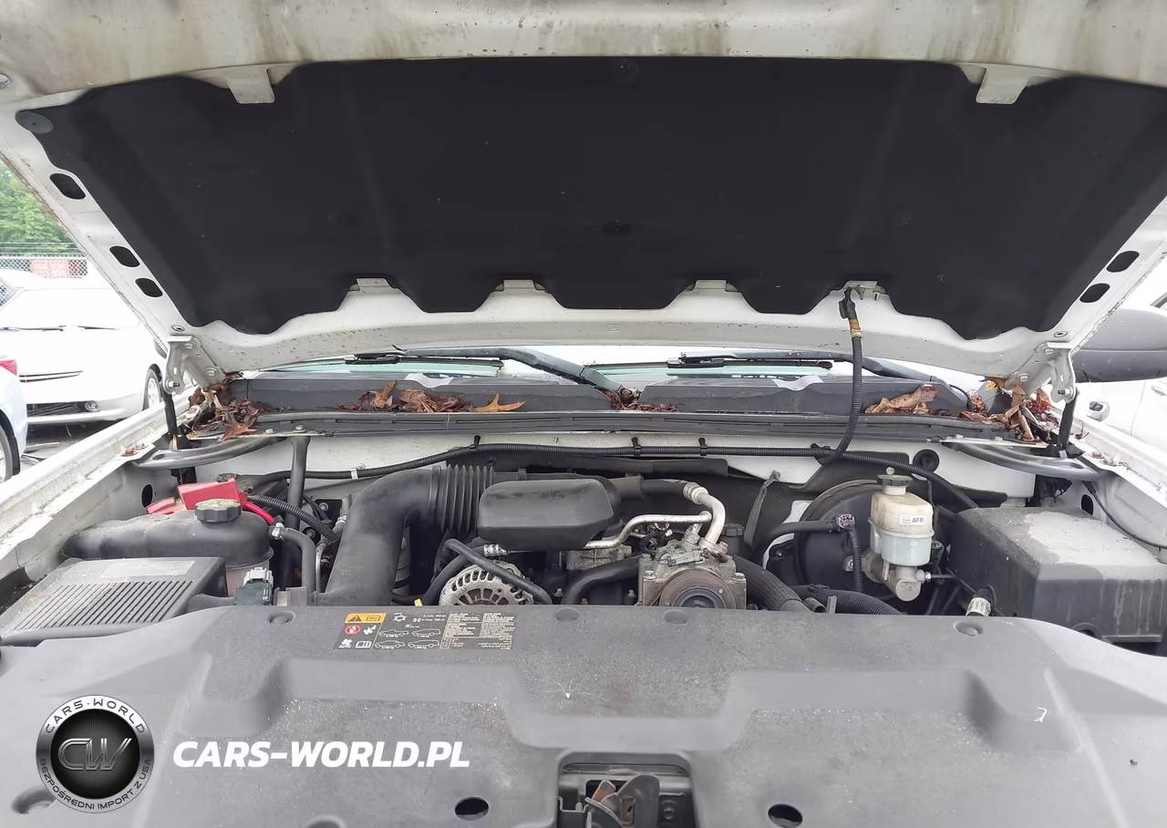 2011 Chevrolet Silverado 1500 Work Truck VIN:1GCNCPEX3BZ431412 - 10