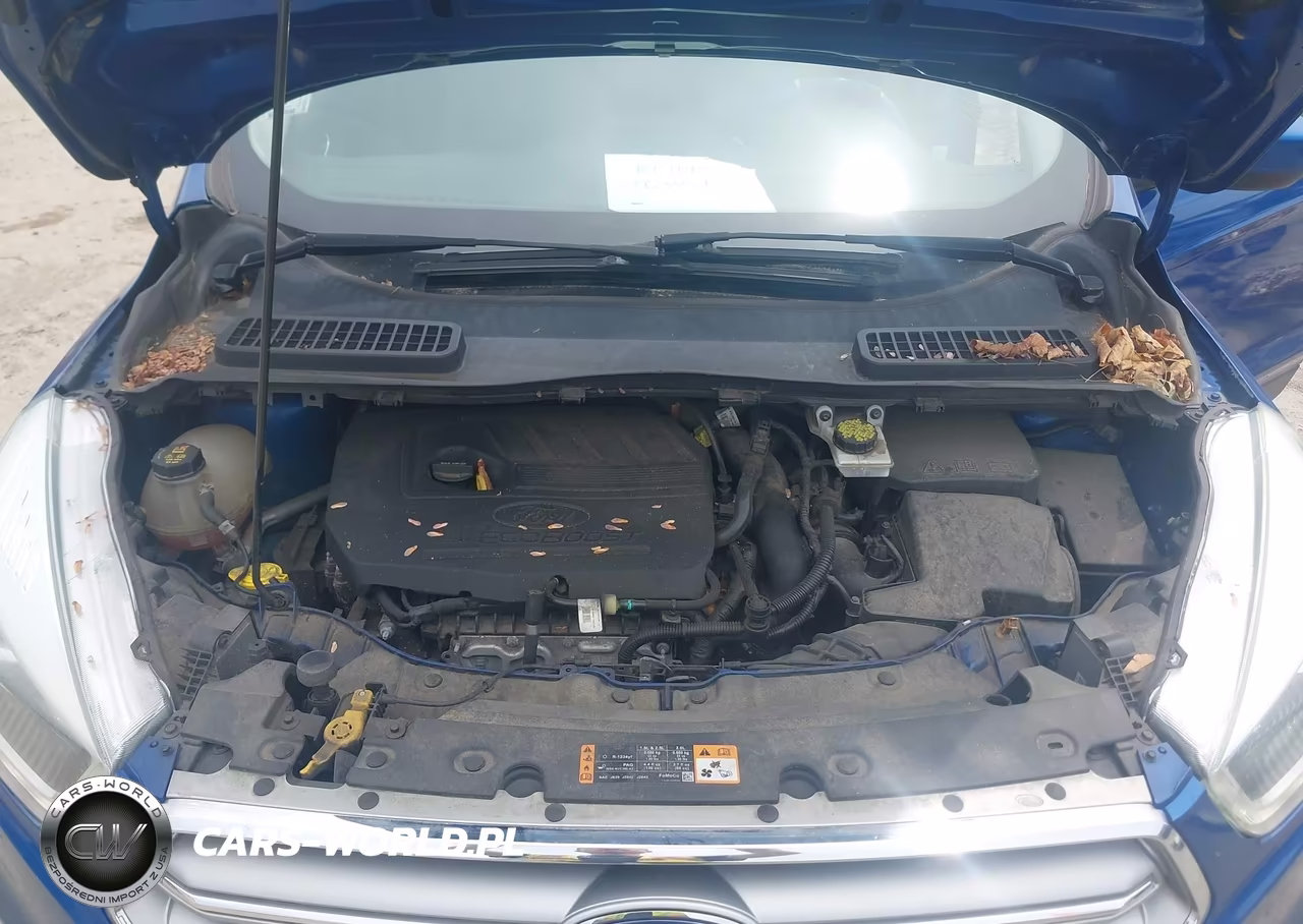 2017 Ford Escape Se VIN:1FMCU0GD9HUC98686 - 10