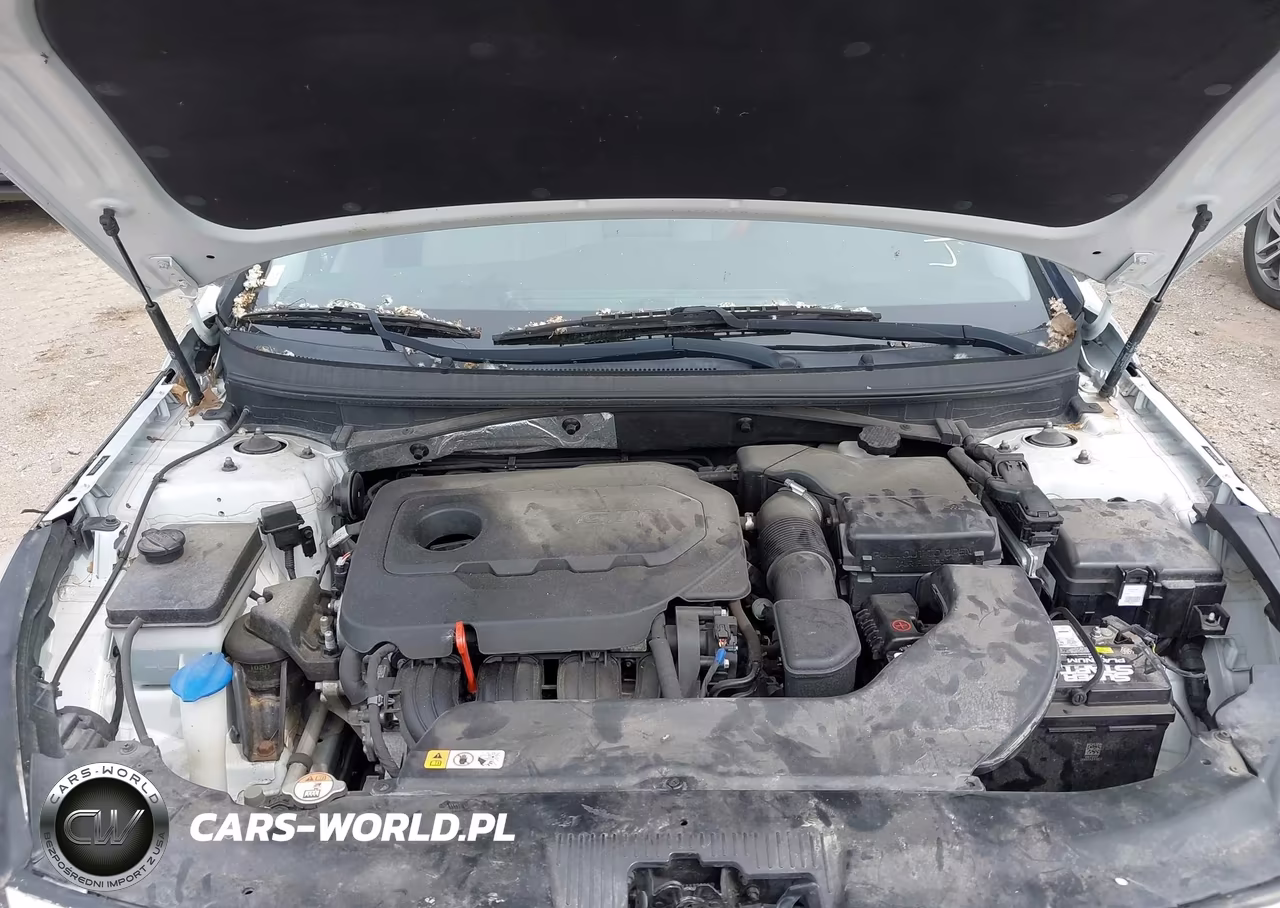 2016 Hyundai Sonata Se VIN:5NPE24AF3GH355624 - 10