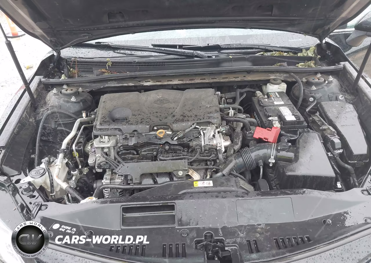 2019 Toyota Camry Se VIN:4T1B11HK5KU201272 - 10