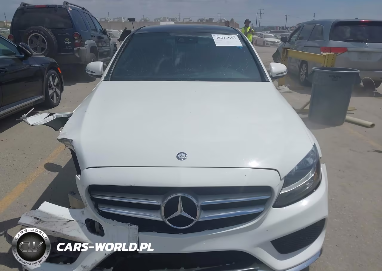 2017 Mercedes-Benz C 300 Sport VIN:55SWF4JB1HU206455 - 12