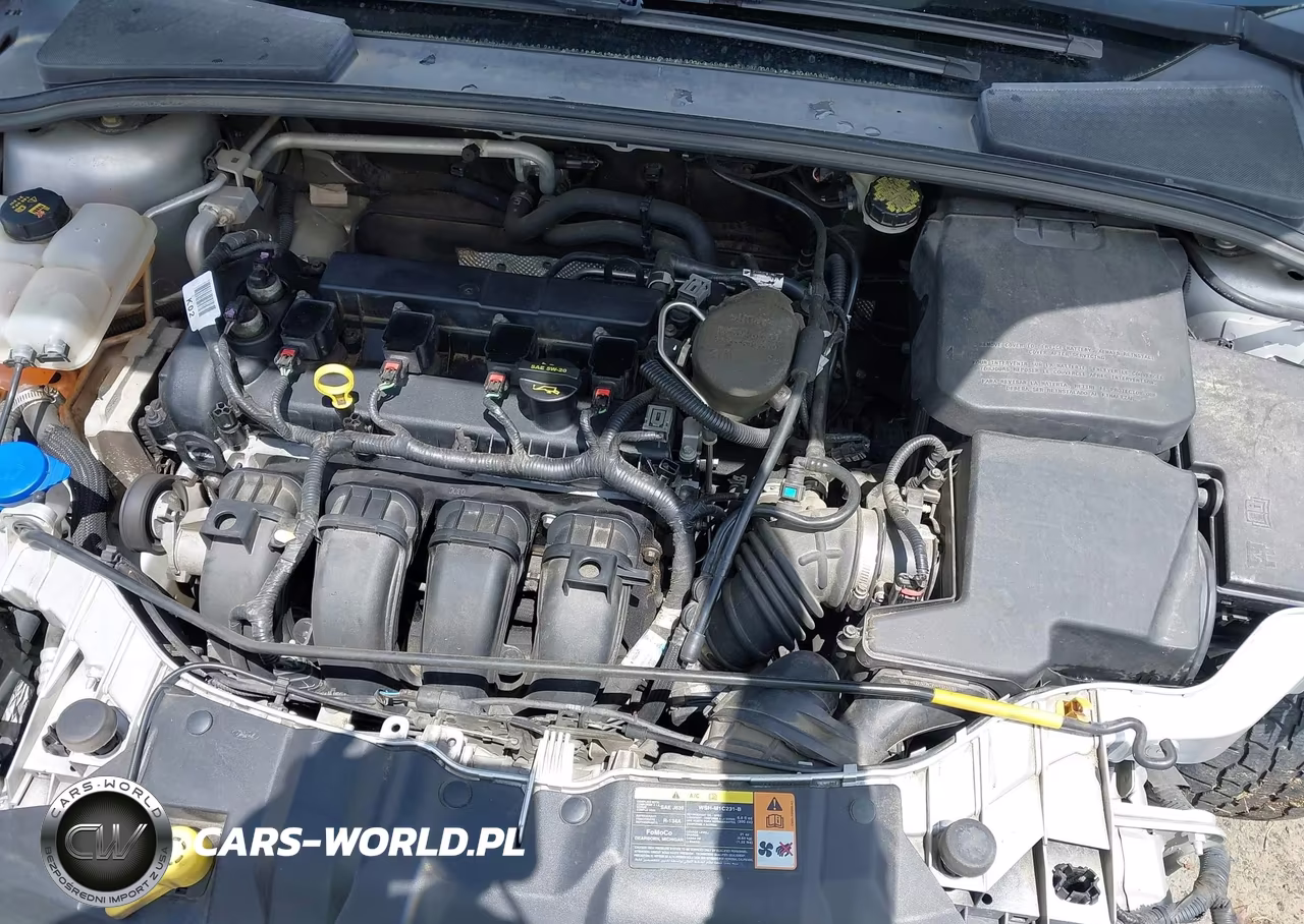 2013 Ford Focus Se VIN:1FADP3F20DL258276 - 10