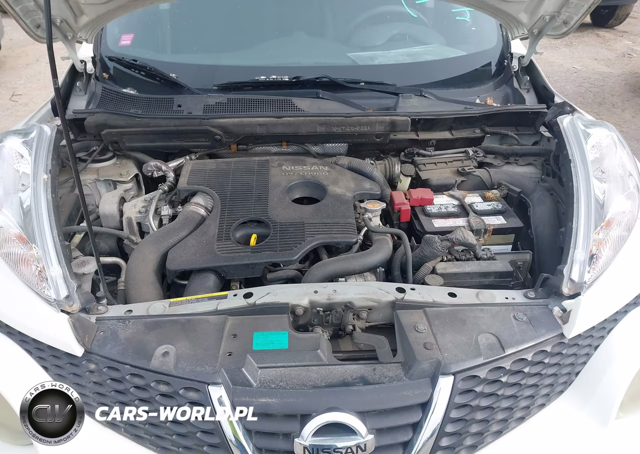 2011 Nissan Juke S VIN:JN8AF5MRXBT014311 - 10
