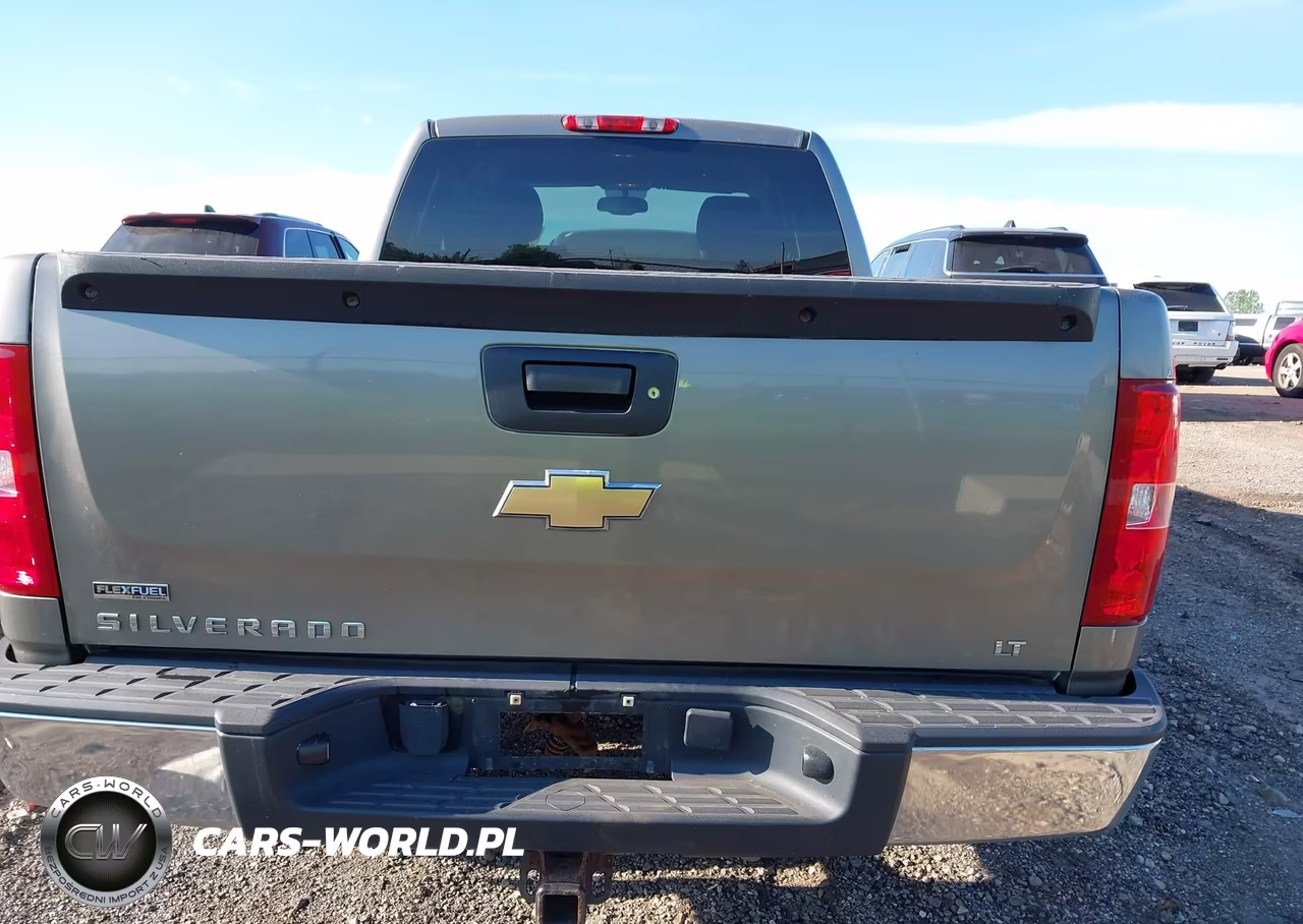 2009 Chevrolet Silverado 1500 Lt VIN:1GCEK29069Z167776 - 16