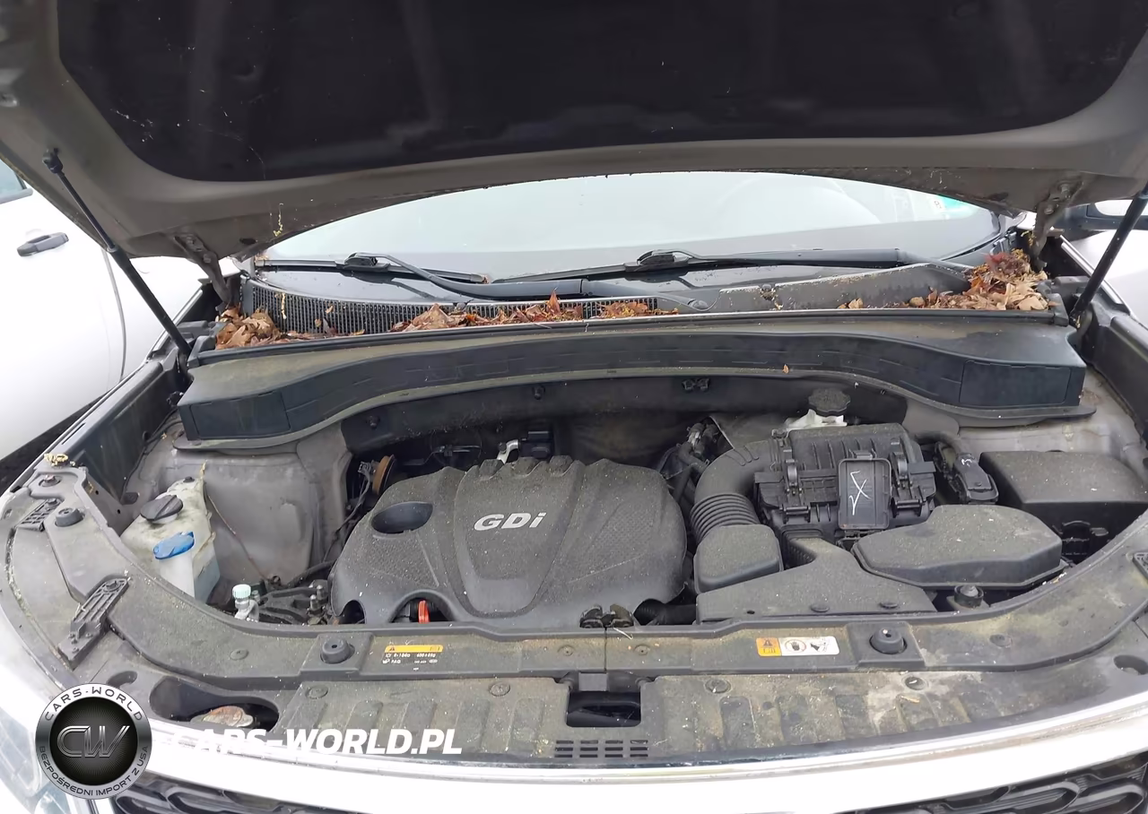 2015 Kia Sorento Lx VIN:5XYKT3A6XFG550846 - 10