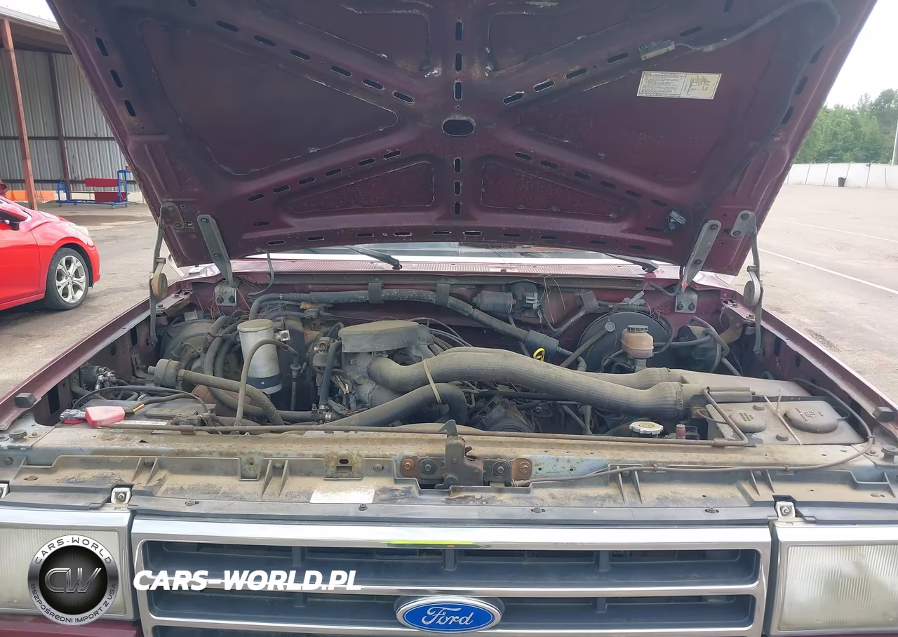 1990 Ford F150 VIN:1FTEX15NXLKA29266 - 10