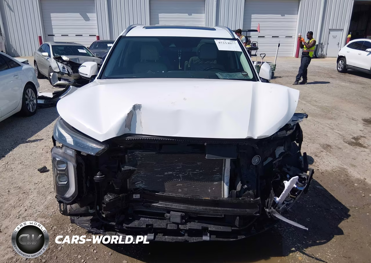 2020 Hyundai Palisade Limited VIN:KM8R5DHE2LU096108 - 12