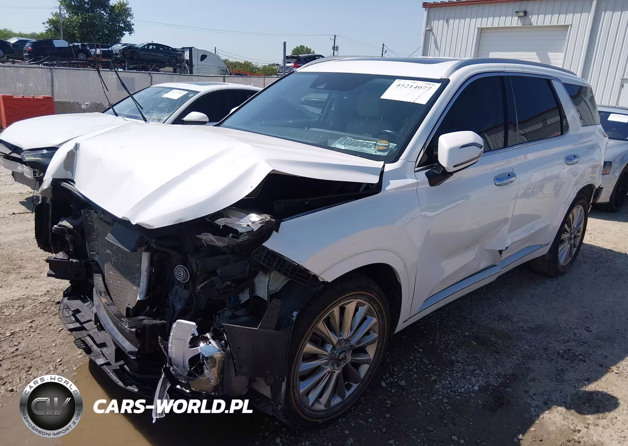2020 Hyundai Palisade Limited VIN:KM8R5DHE2LU096108 - 2