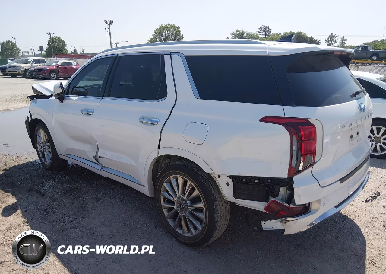 2020 Hyundai Palisade Limited VIN:KM8R5DHE2LU096108 - 3
