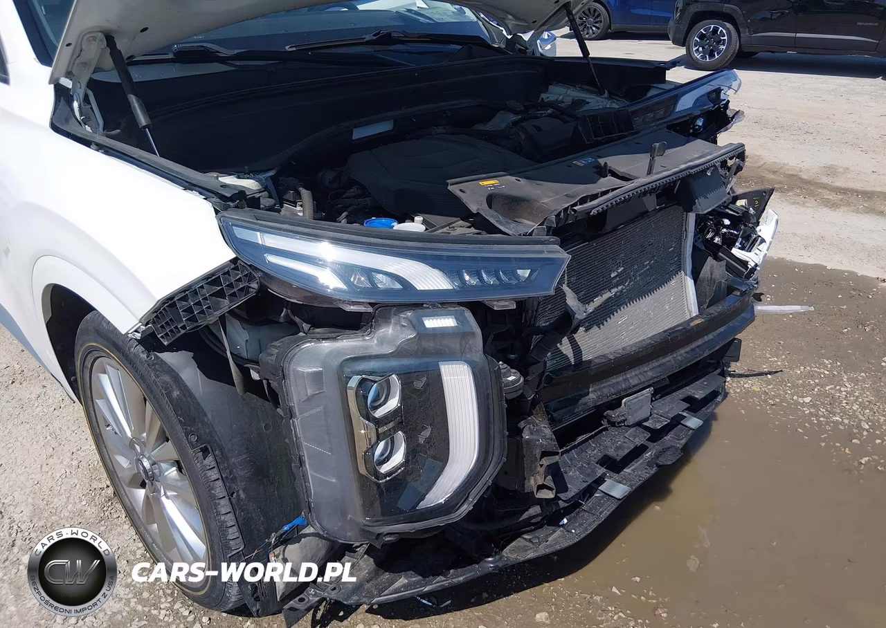 2020 Hyundai Palisade Limited VIN:KM8R5DHE2LU096108 - 6