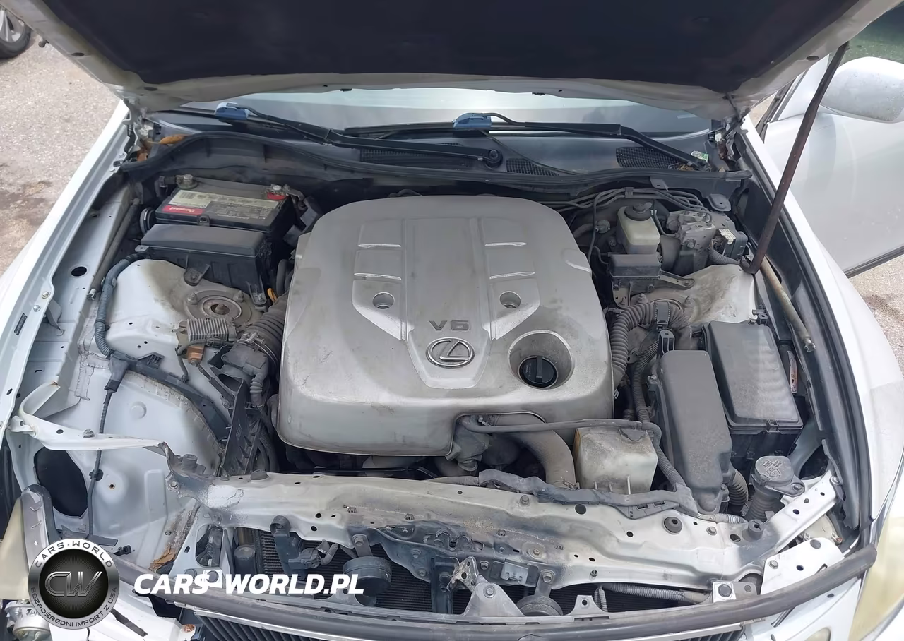 2006 Lexus Gs 300 VIN:JTHBH96S865037175 - 10