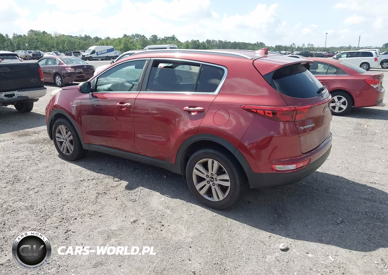 2017 Kia Sportage Lx VIN:KNDPMCAC3H7033431 - 3