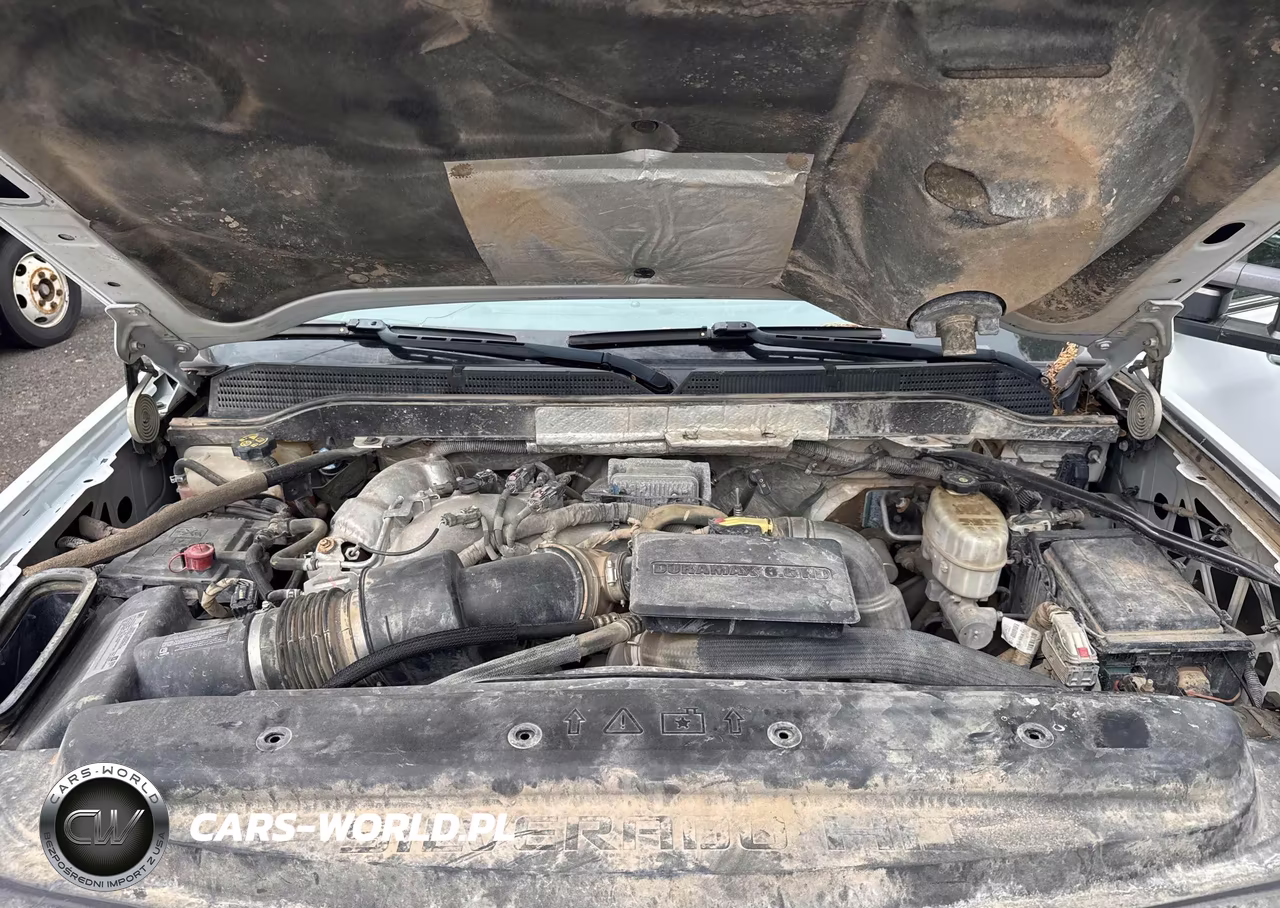 2019 Chevrolet Silverado K2500 Heavy Duty Ltz VIN:1GC1KTEY3KF193632 - 10
