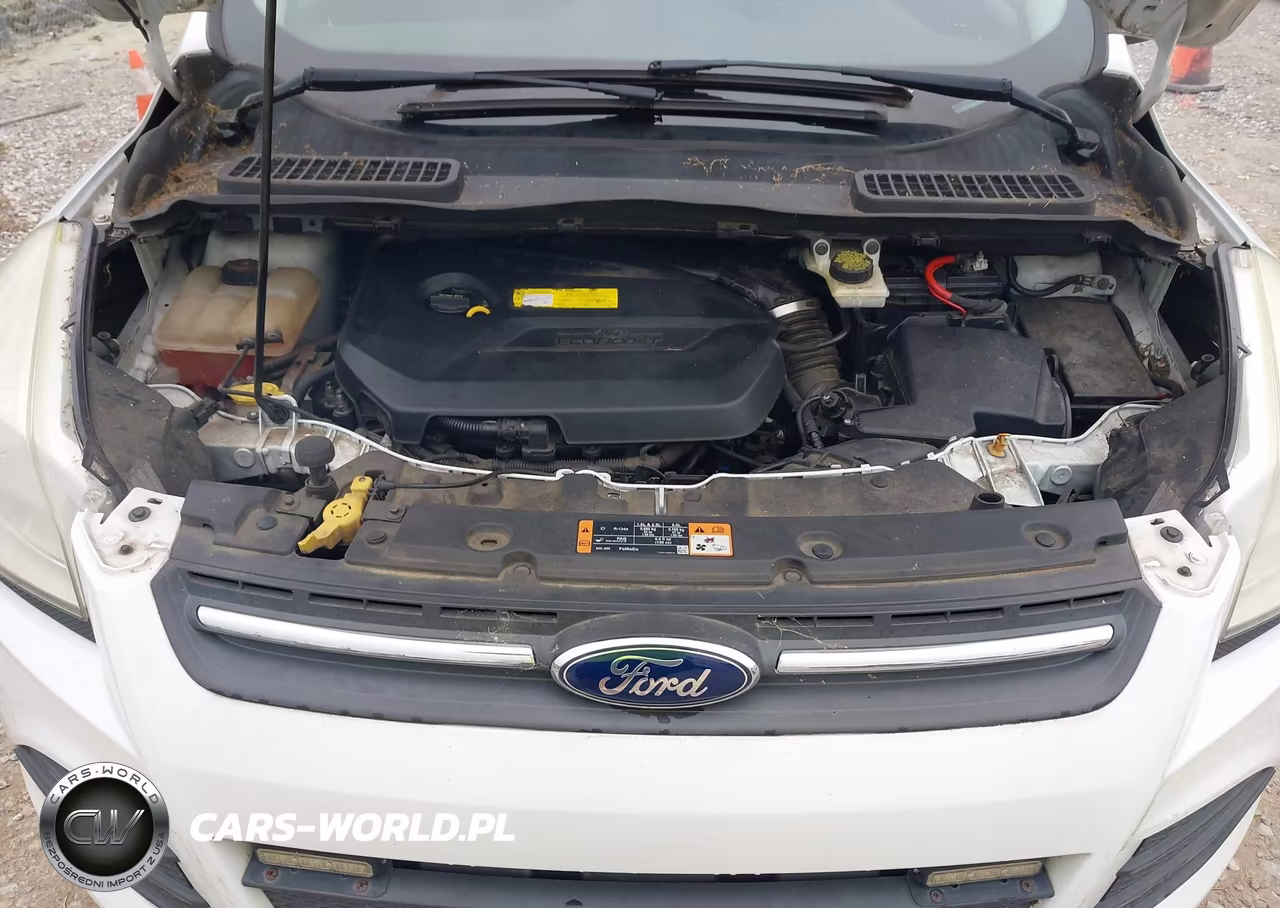 2015 Ford Escape Se VIN:1FMCU0GX7FUB96679 - 10