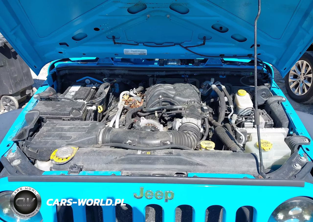 2018 Jeep Wrangler Jk Sport VIN:1C4AJWAG3JL902996 - 10