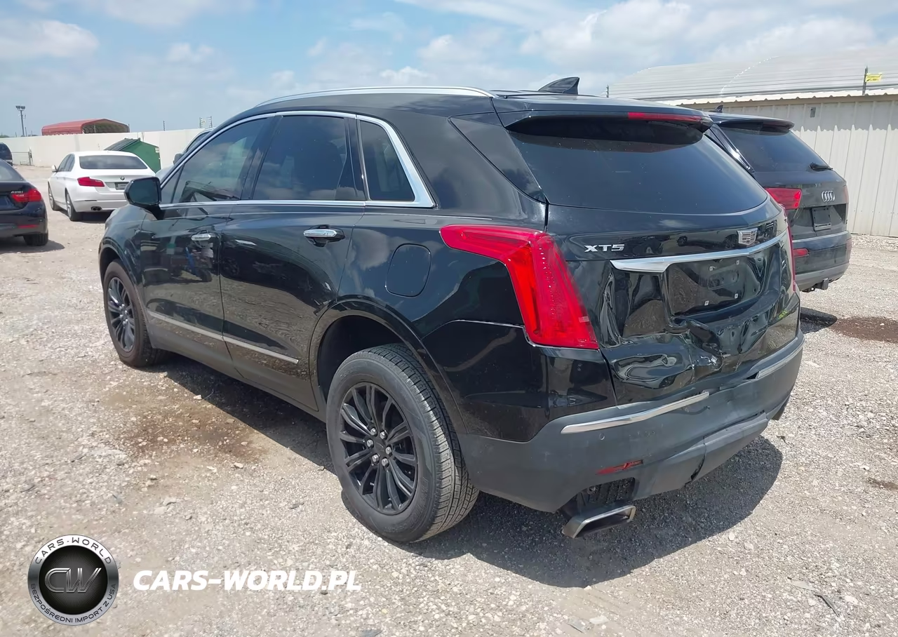 2019 Cadillac Xt5 Luxury VIN:1GYKNCRS5KZ177944 - 3