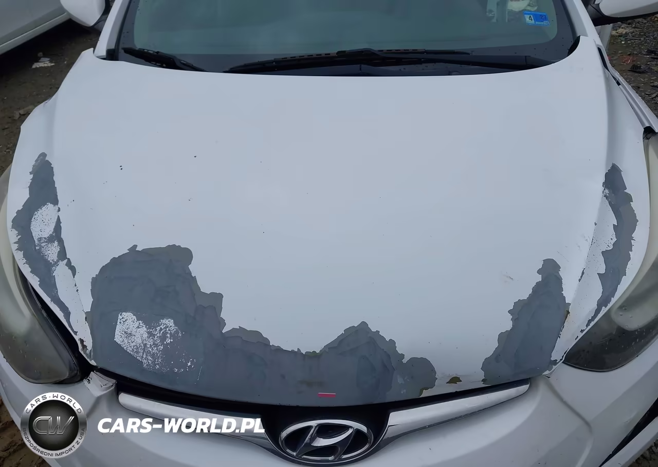 2016 Hyundai Elantra Se VIN:5NPDH4AE3GH711863 - 10