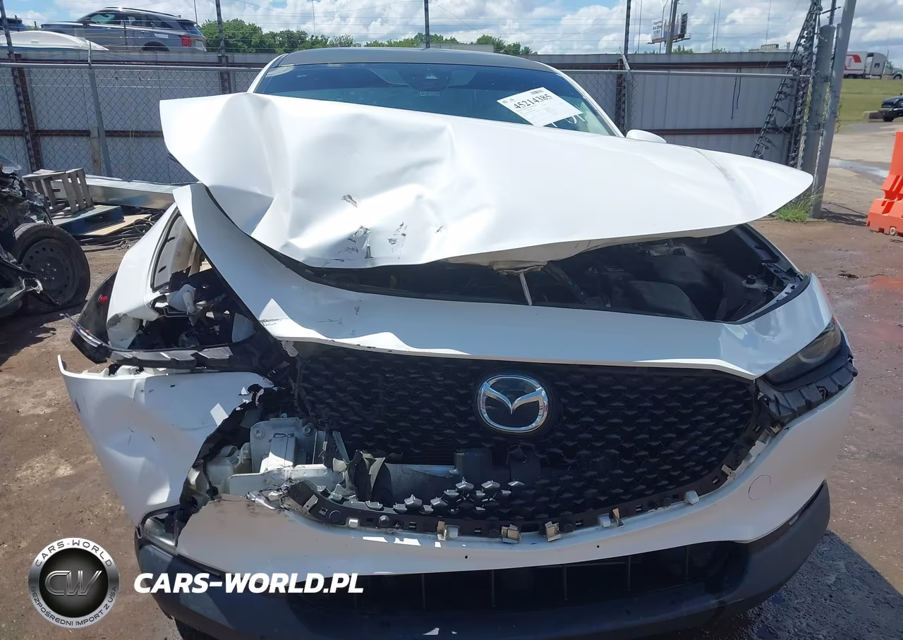 2020 Mazda Cx-30 VIN:3MVDMABL3LM128591 - 12