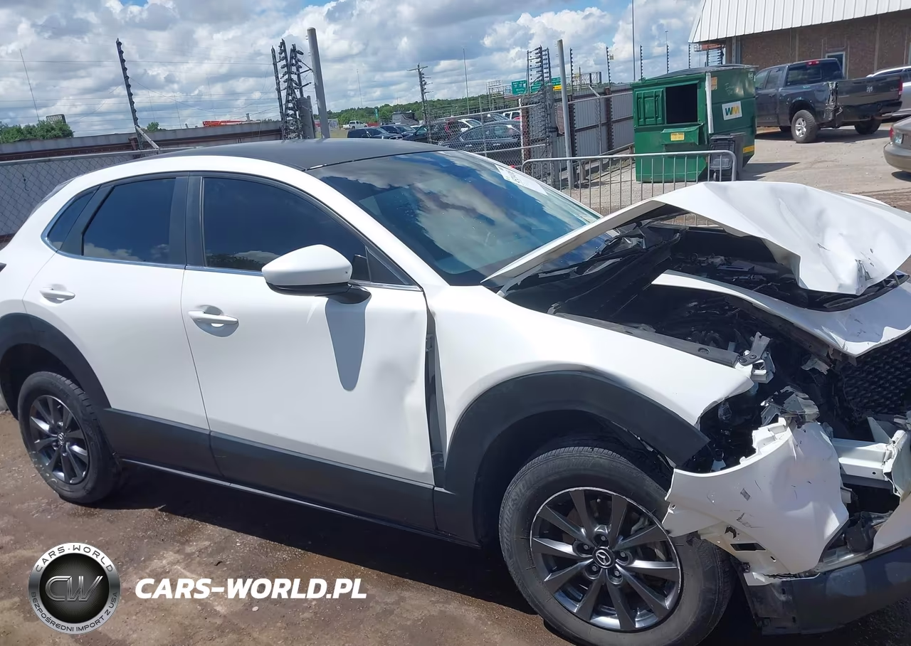 2020 Mazda Cx-30 VIN:3MVDMABL3LM128591 - 13