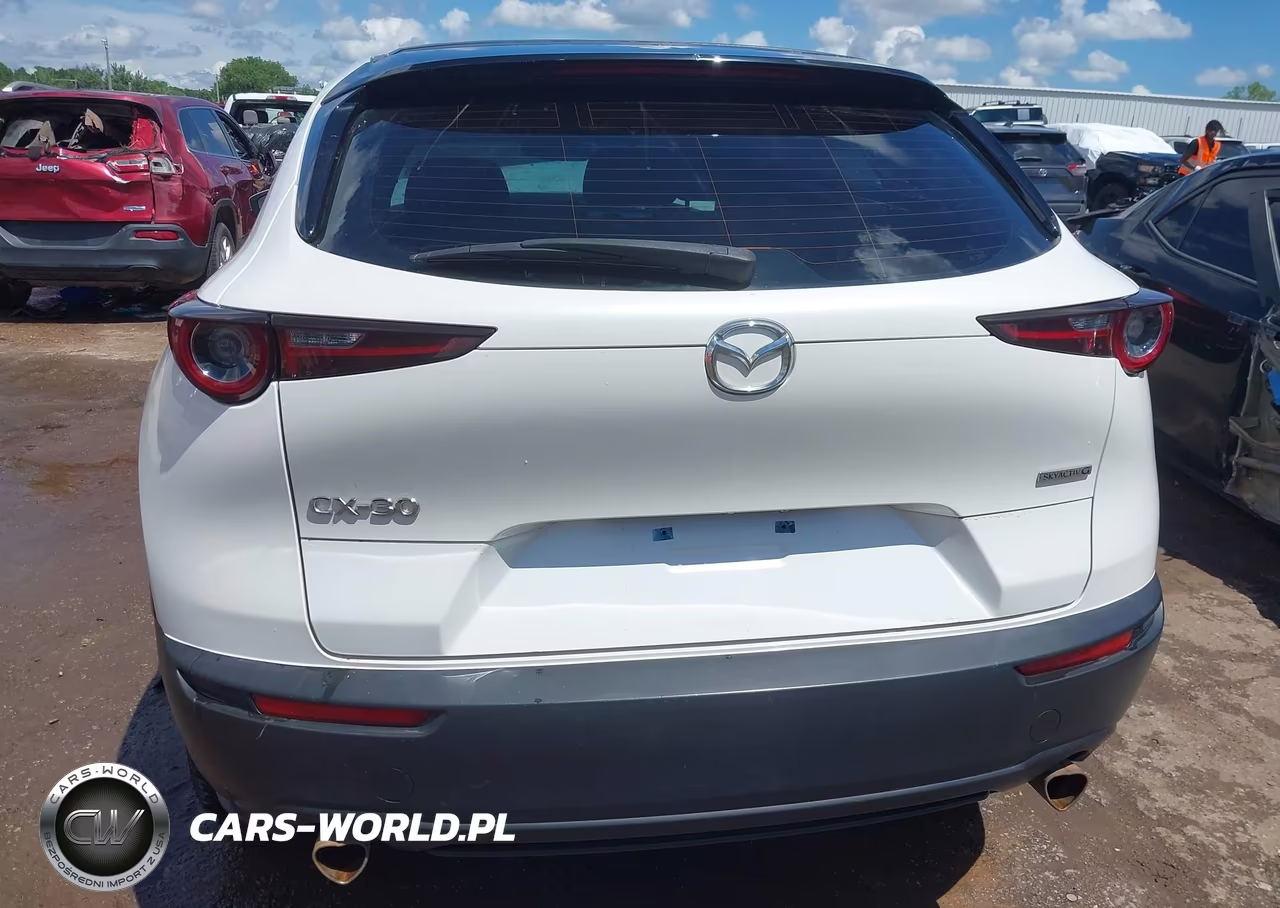 2020 Mazda Cx-30 VIN:3MVDMABL3LM128591 - 16