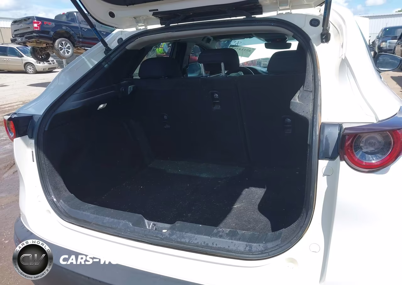 2020 Mazda Cx-30 VIN:3MVDMABL3LM128591 - 17