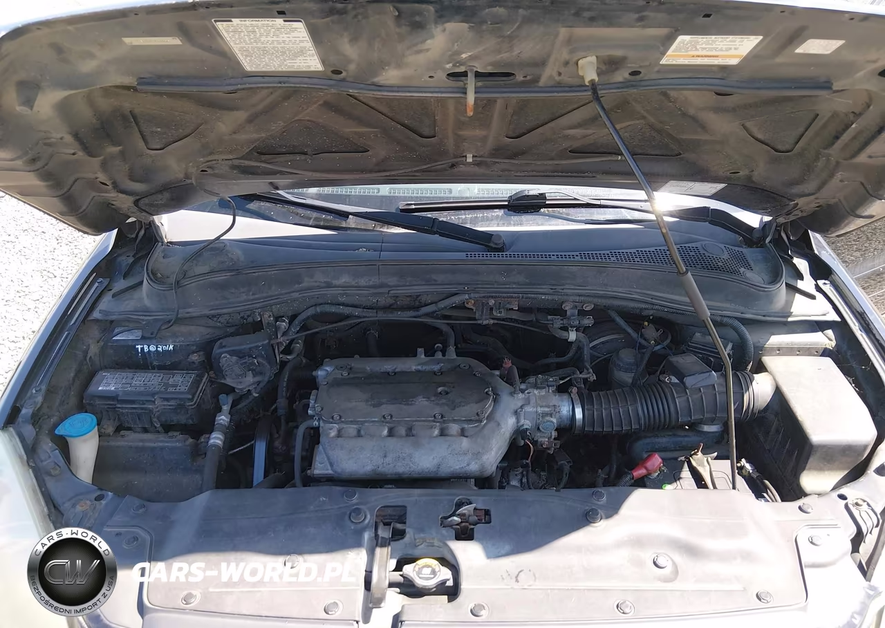 2005 Honda Pilot Ex-L VIN:5FNYF186X5B028221 - 10