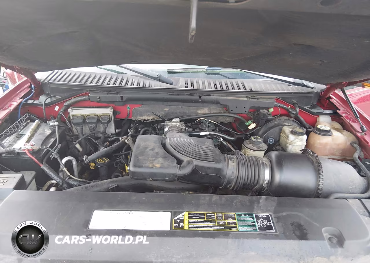 2004 Ford Expedition Eddie Bauer VIN:1FMFU17L04LB41252 - 10