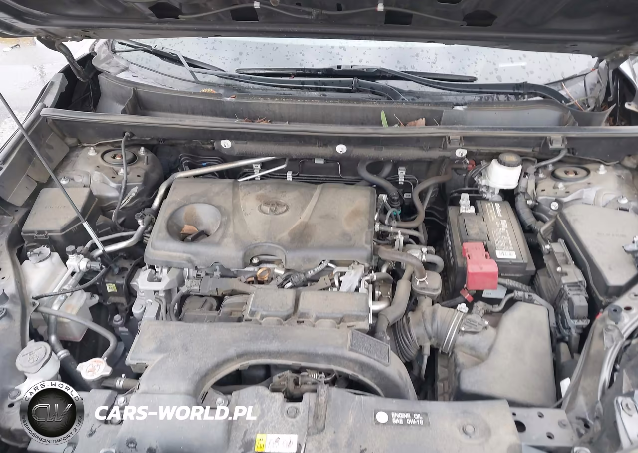 2019 Toyota Rav4 Le VIN:2T3H1RFV6KW005516 - 10