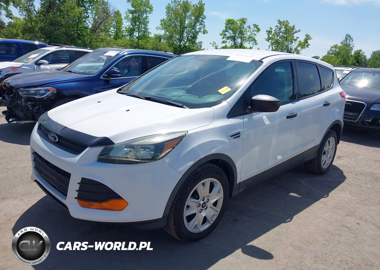 2016 Ford Escape S VIN:1FMCU0F71GUC11955 - 2